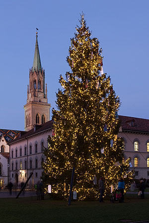 Weihnachtsbaum St. Gallen