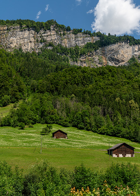 Ställe im Vorderguet