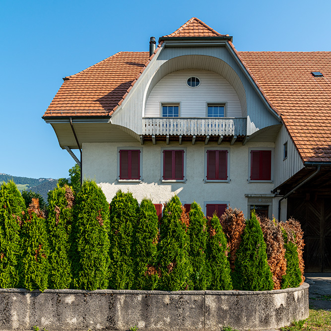 Bauernhaus in Selzach