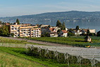 18-ZH-Wädenswil-030