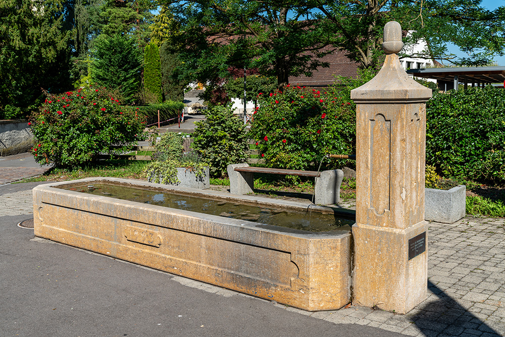 Brunnen in Seengen