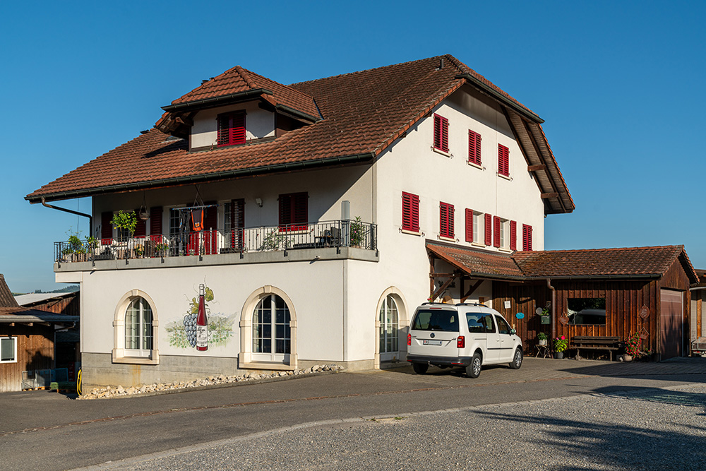 Weingut Lindenmann Seengen