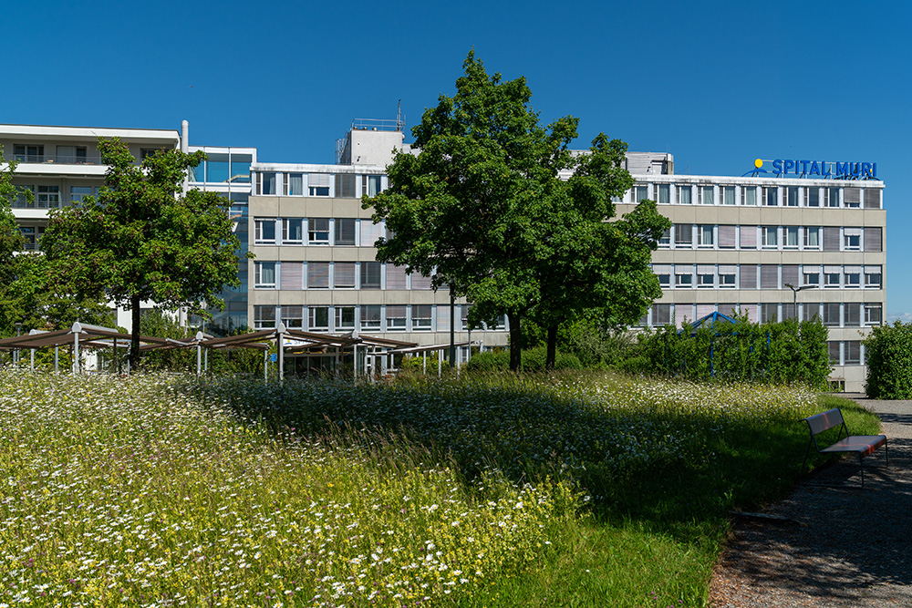 Spital Muri
