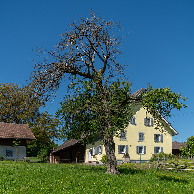Langenmatt Muri AG