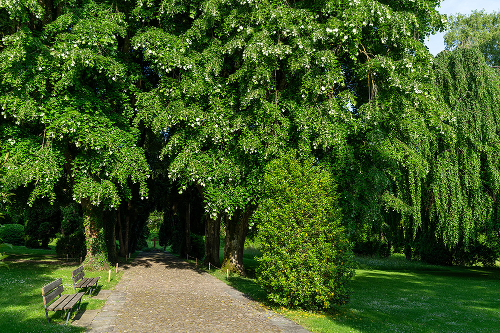 Pflegi Friedhof Muri AG