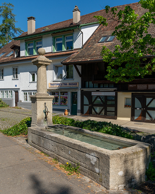 Winterthurerstrasse Schwamendingen