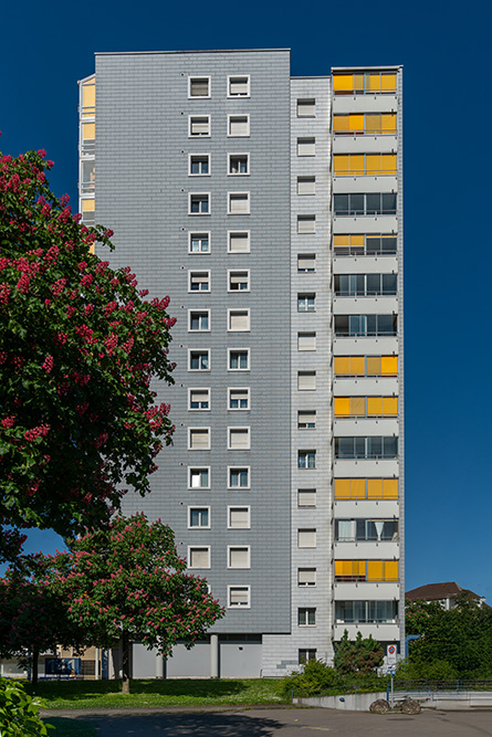 Luegislandstrasse Schwamendingen
