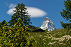 04-VS-Zermatt-050
