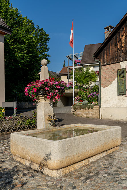 Dorfbrunnen in Pfeffingen