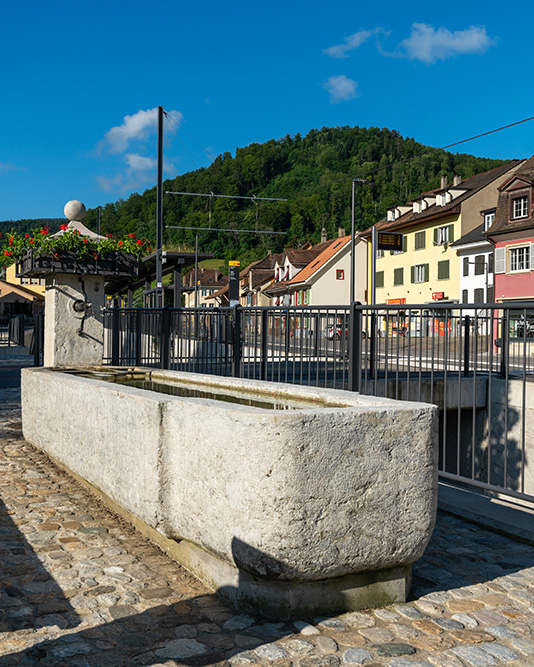 Brunnen in Niederdorf