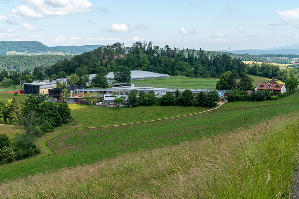 Arxhof Niederdorf