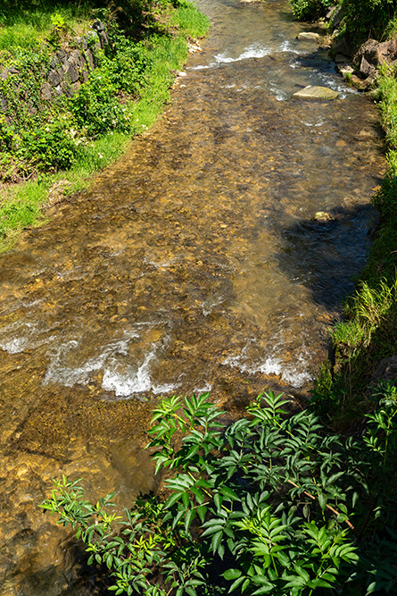 Diegterbach in Zunzgen