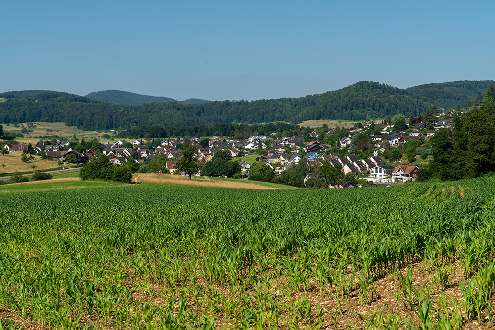 Lupsingen