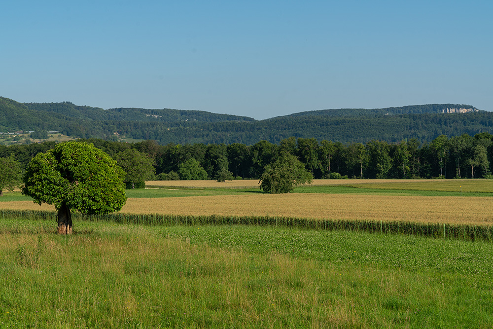 Wiesen und Felder