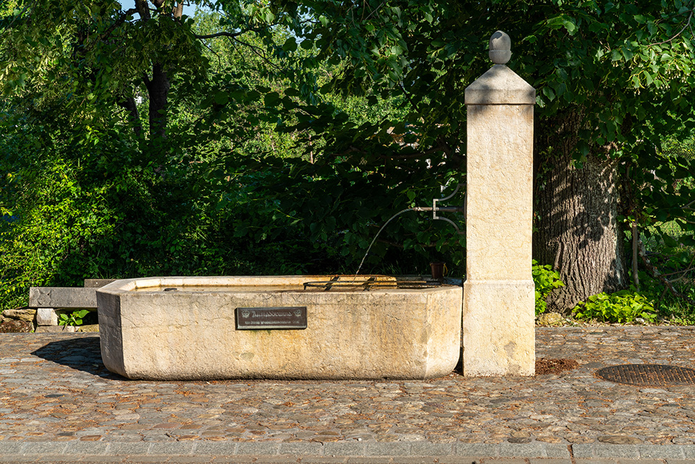 Brunnen in Seltisberg