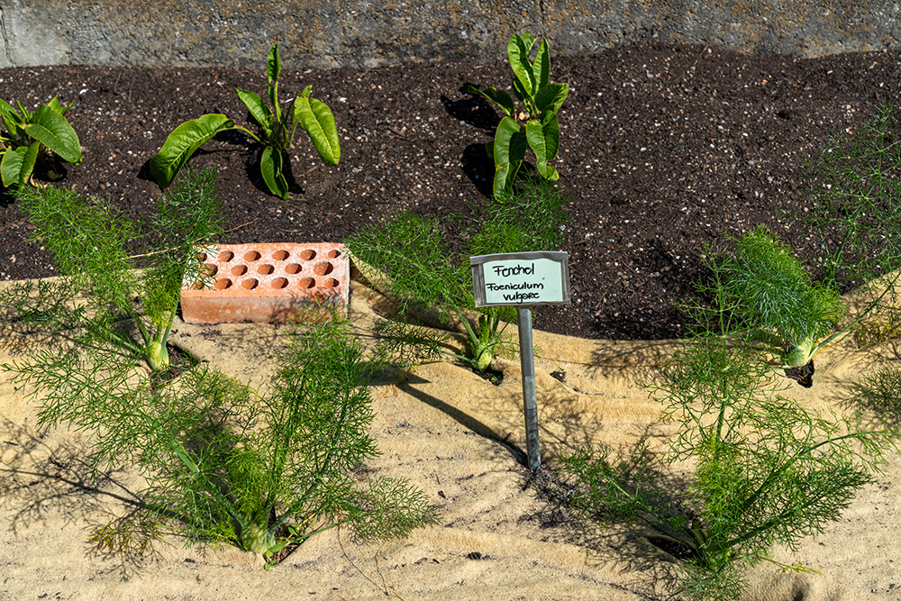 Plantahof Landquart