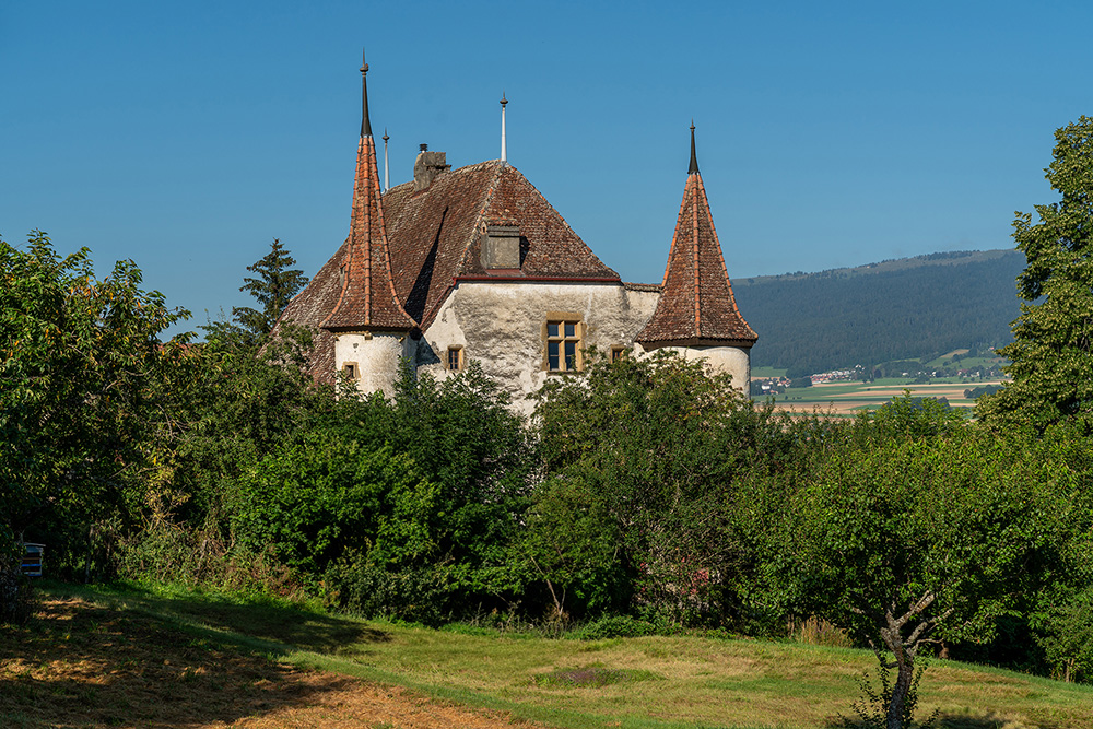 Château à Fenin