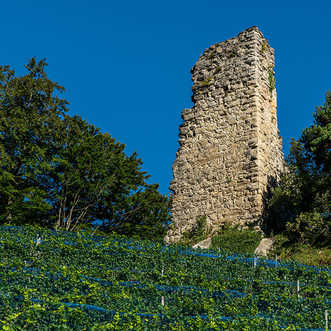 Ruine Grimmenstein