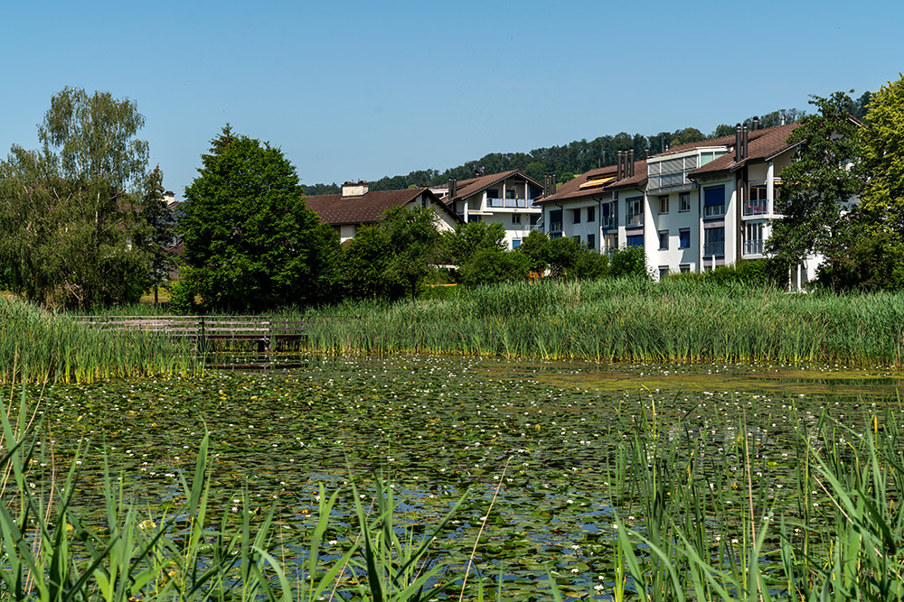 Rietstuckweiher