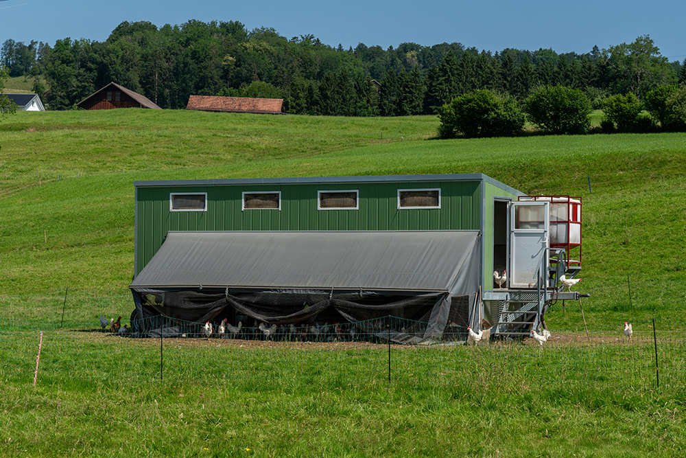 mobiler Hühnerstall