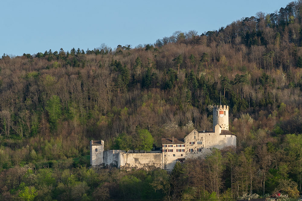 Burg Neu-Bechburg