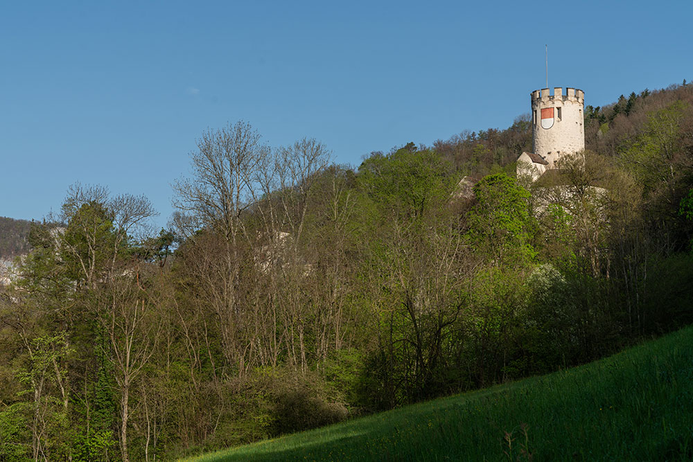 Burg Neu-Bechburg