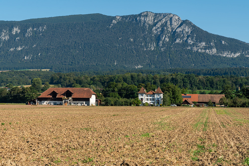 Schlössli Unteres Emmenholz