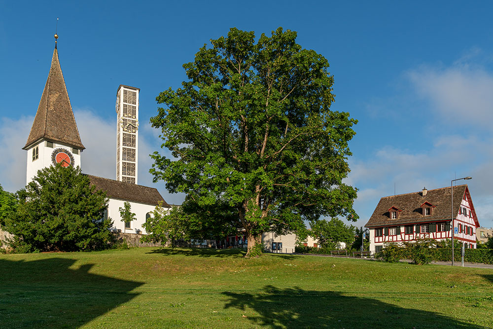 Kirchenhügel in Altstetten