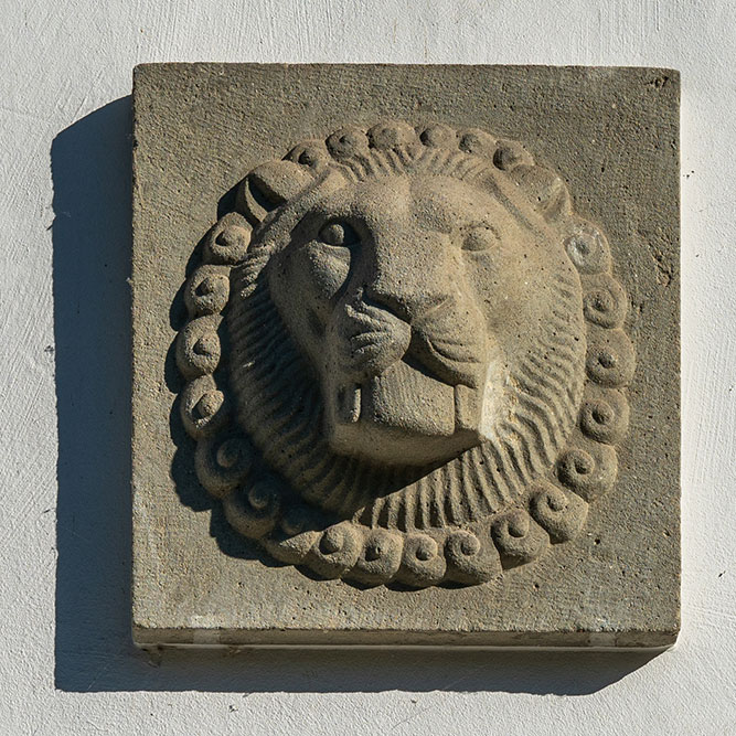 Löwen in Dielsdorf
