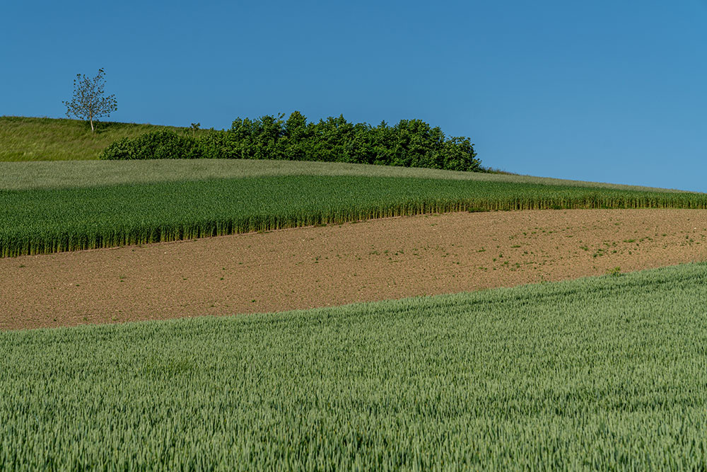 Ackerkultur