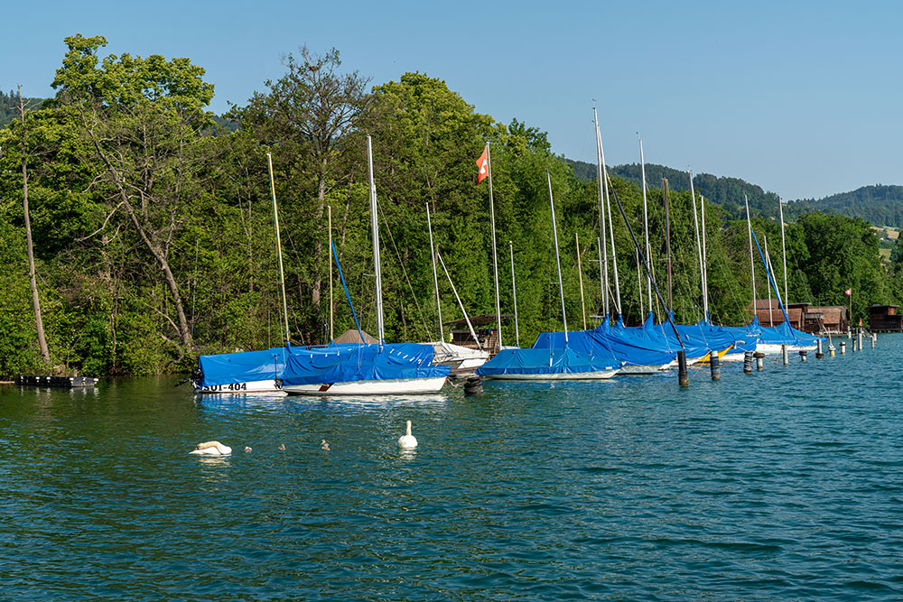 Beinwil am See