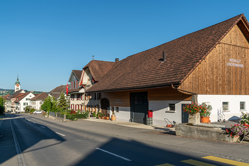 Oberdorfstrasse Seengen