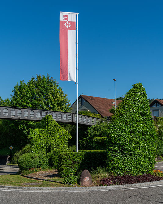 Verkehrskreisel