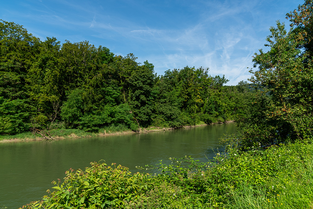 Reuss bei Gebenstorf