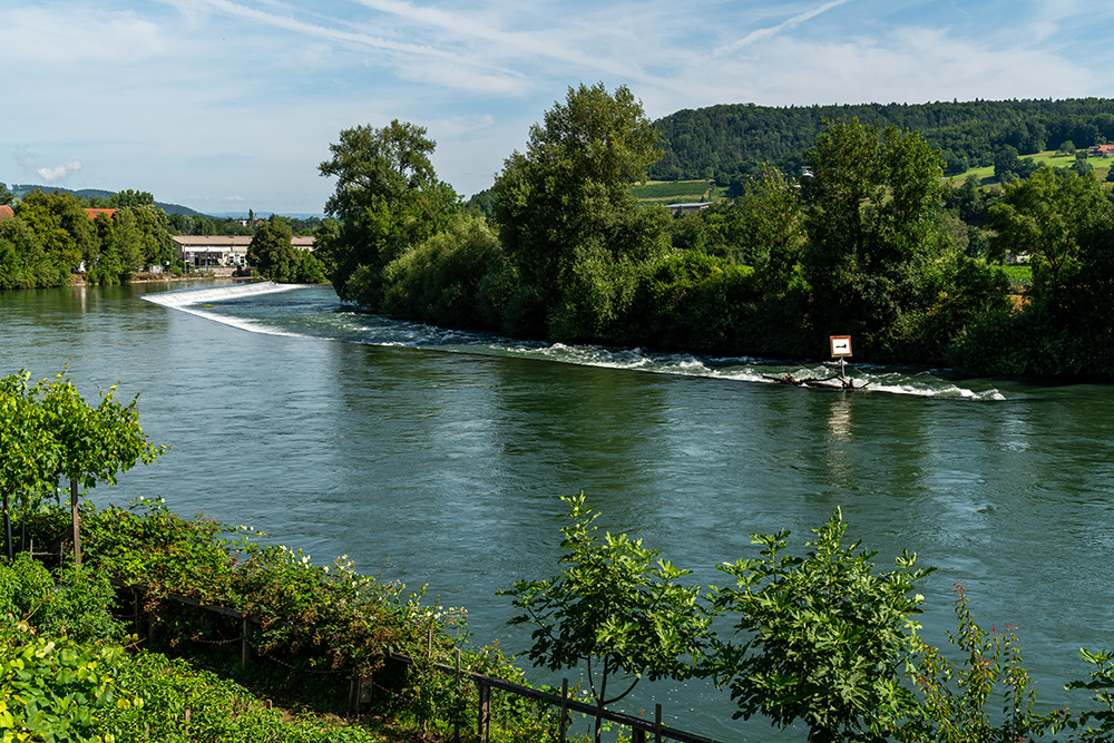 Limmat in Vogelsang