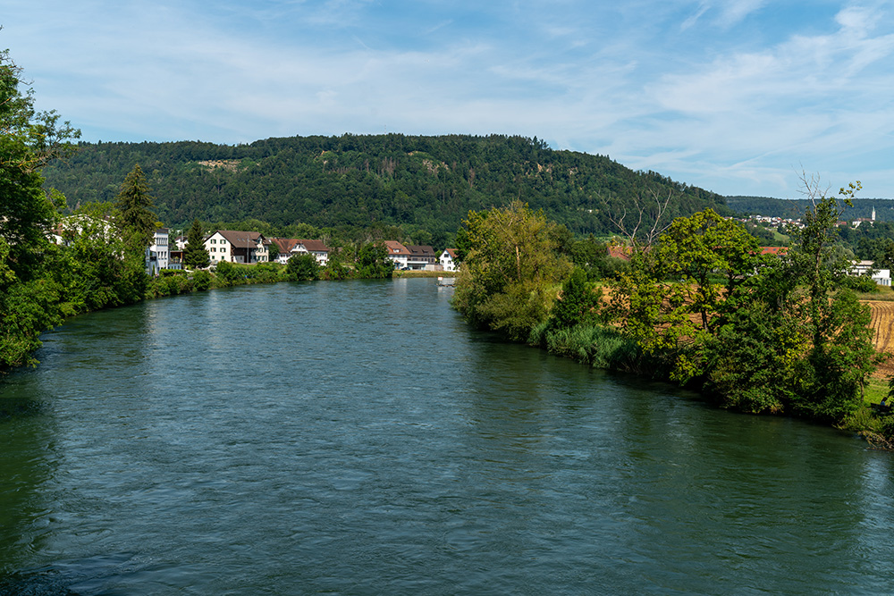 Limmat in Vogelsang