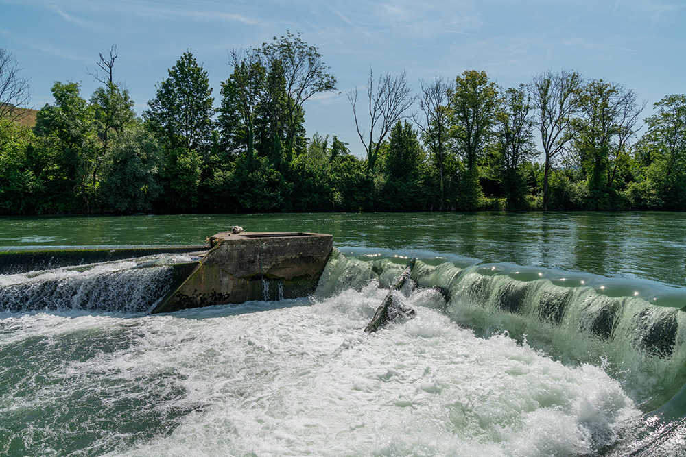 Limmat in Vogelsang