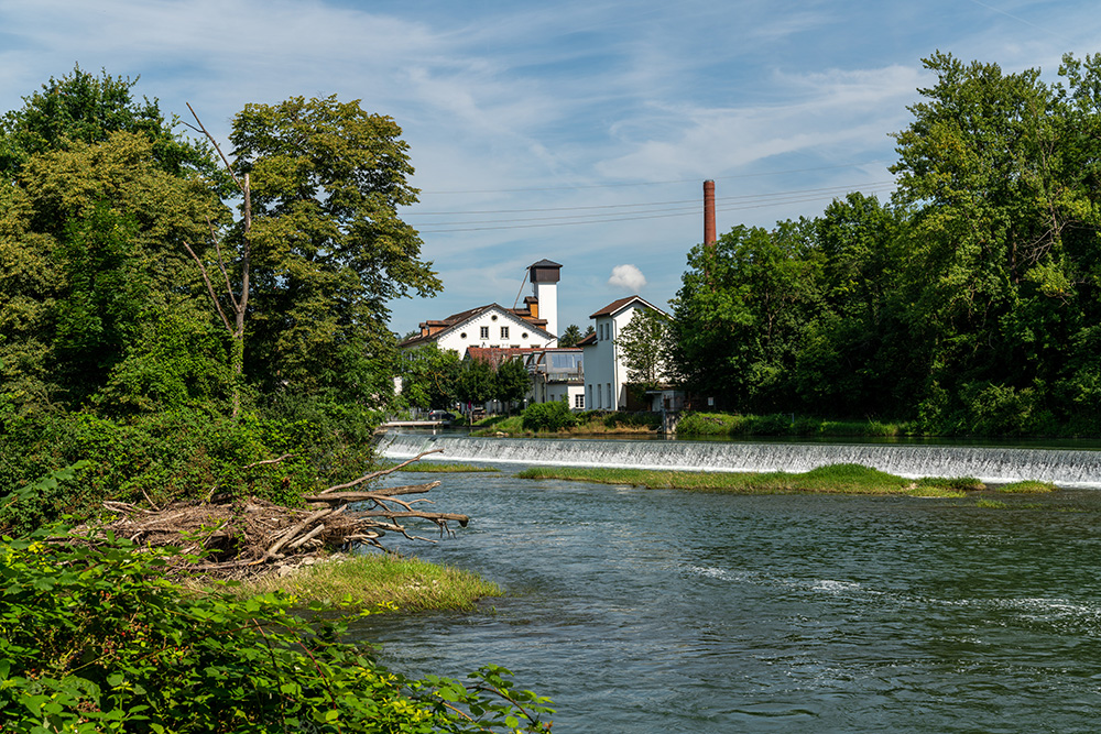 Limmat in Vogelsang