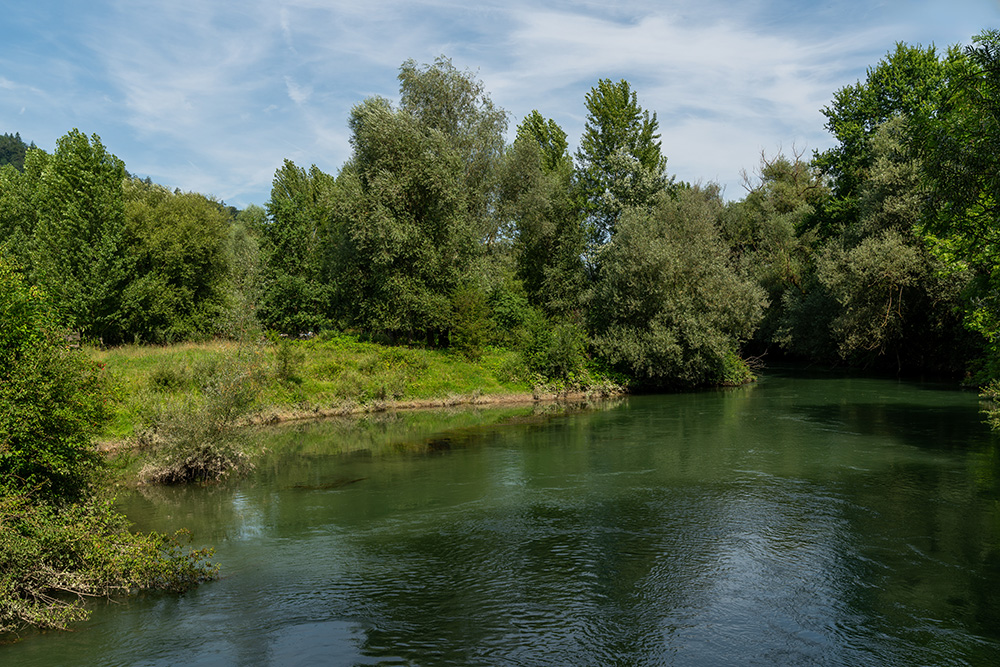 Limmat in Vogelsang