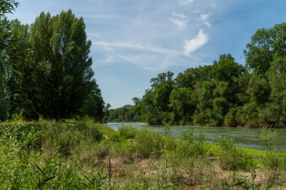 Aare beim Limmatspitz