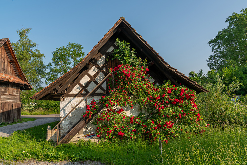 Schulhausstrasse Knonau