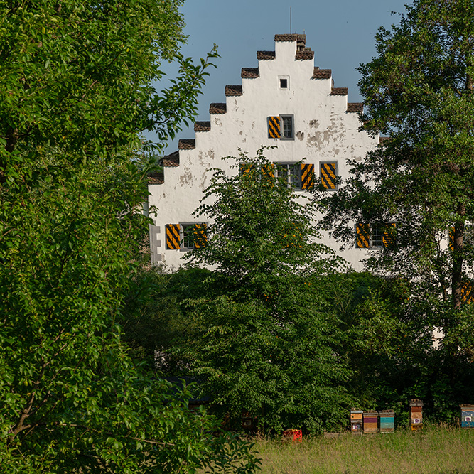 Schloss Knonau