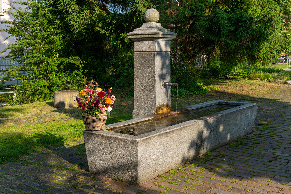 Brunnen in Knonau