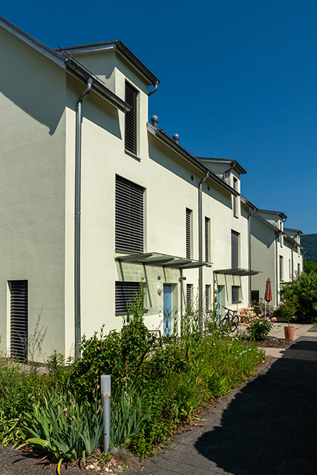 Tulpenweg Otelfingen