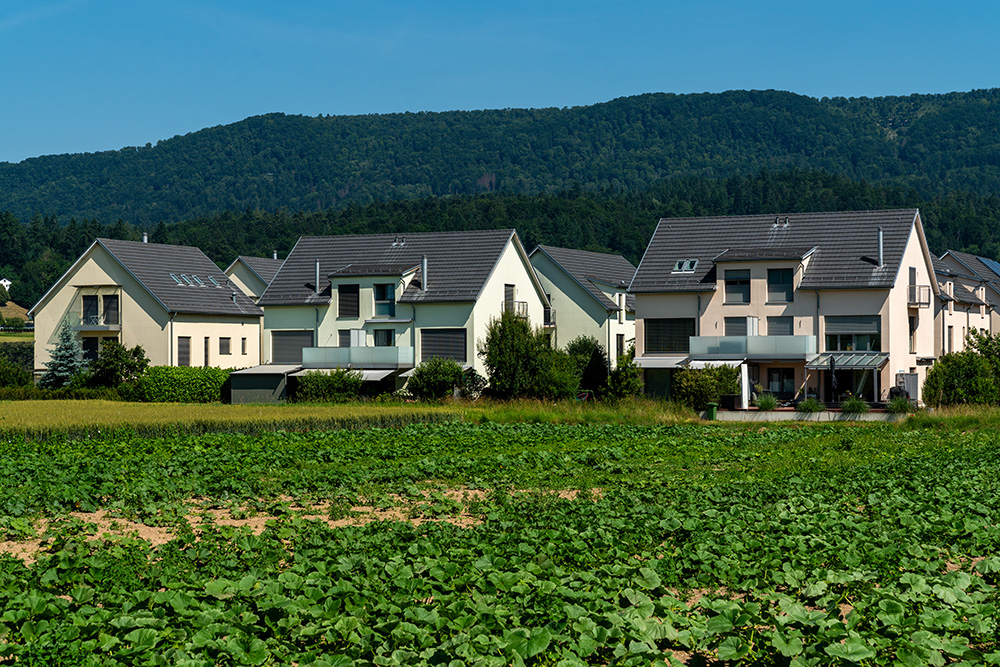 Rosenweg Otelfingen