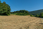 Otelfingen-041