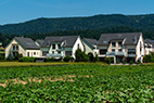 Otelfingen-114
