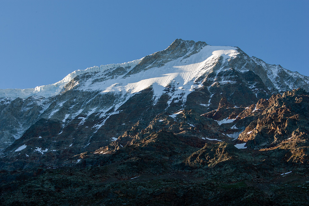 Breitlauihorn