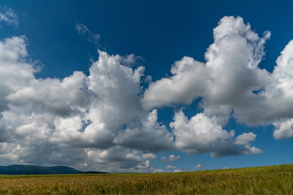 Wolken