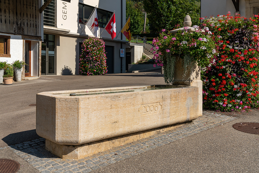 Brunnen in Duggingen